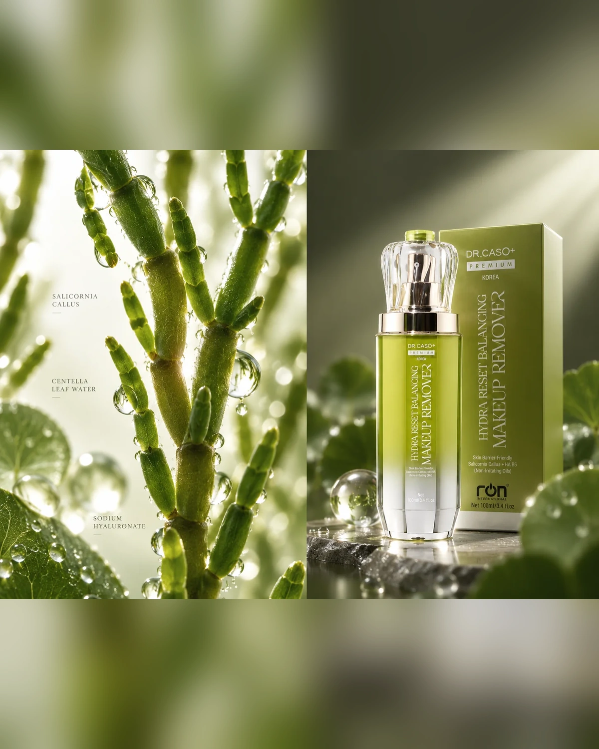 Salicornia Callus, Centella Leaf Water, Sodium Hyaluronate và bộ sản phẩm DR.CASO+