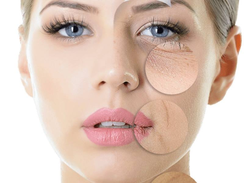 Tác dụng của tế bào gốc