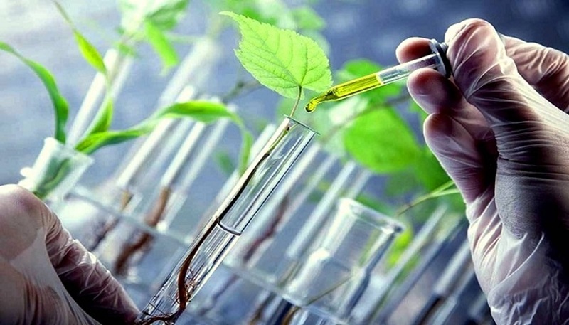 tế bào gốc trị mụn từ thực vật