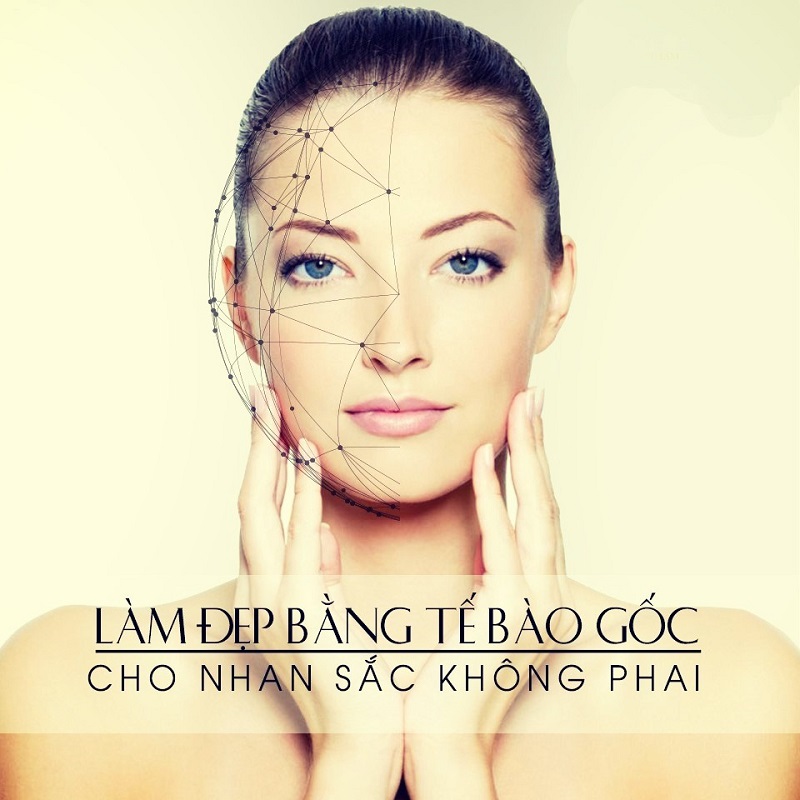 tế bào gốc nội sinh