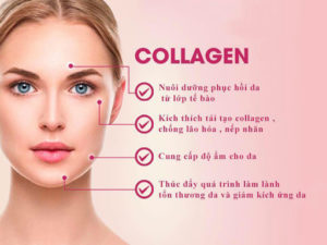 tế bào gốc phục hồi da