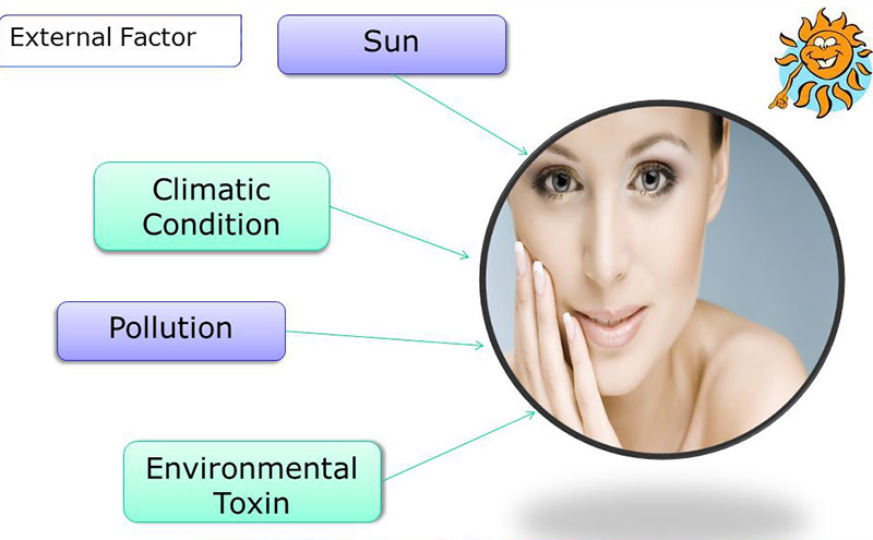 Sunlight causes a big impact on the women’s skin