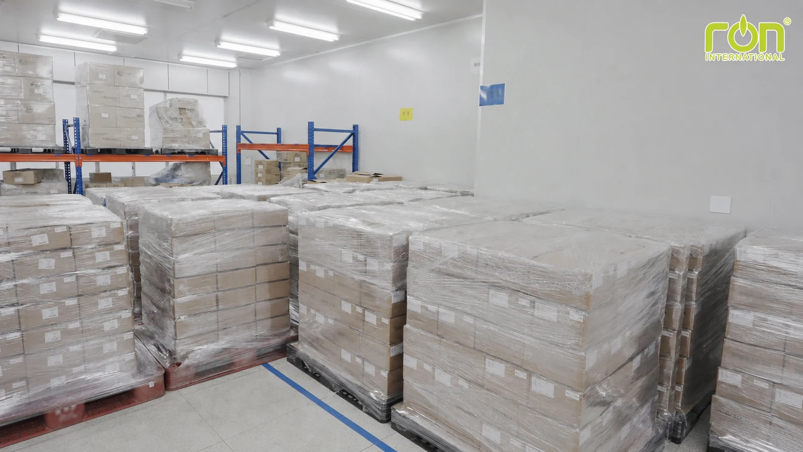 Kho thành phẩm trước khi chuẩn bị xuất hàng tại nhà máy Hàn Quốc